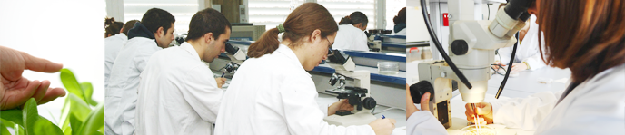 Bachelor's Degree in Biotechnology