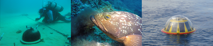 Doble Grado en Ciencias Ambientales + Ciencias y Tecnolog�as del Mar