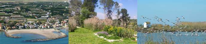 Grado en Ingenier�a Ambiental