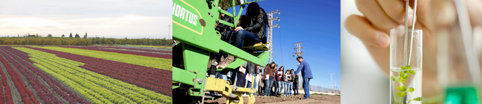 Bachelor's Degree in Agricultural and Biological Engineering