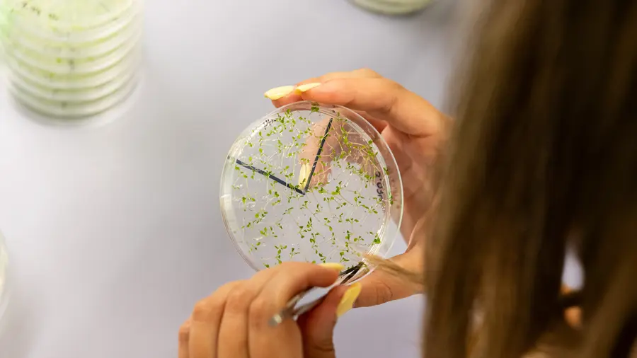 Imagen representativa de Research institutes and centres by work areas