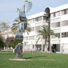 Universidad Politcnica de Valencia