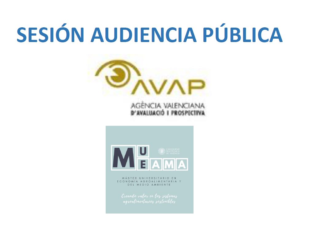 Audiencia Pblica AVAP